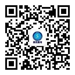 var vsb_pdf_image_